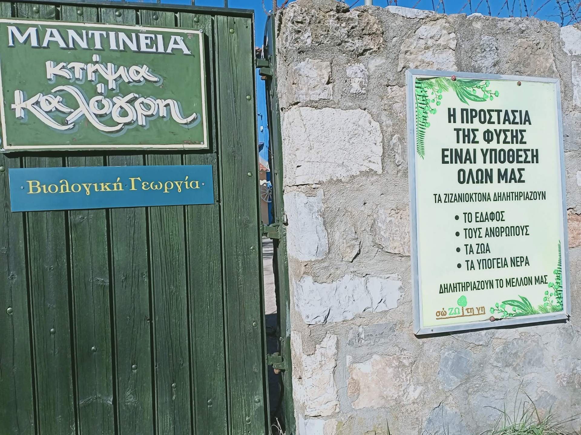 Kalogris Organic Winery - 24