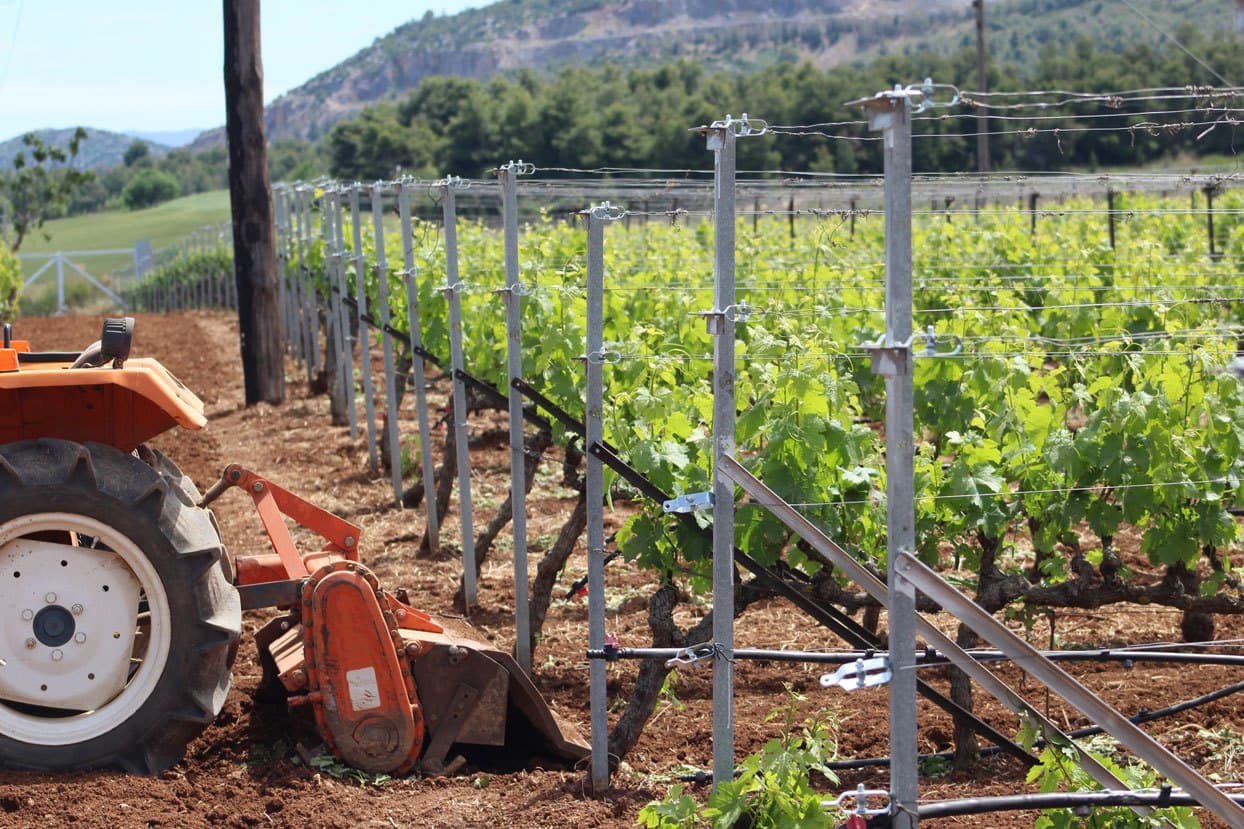 Terroir