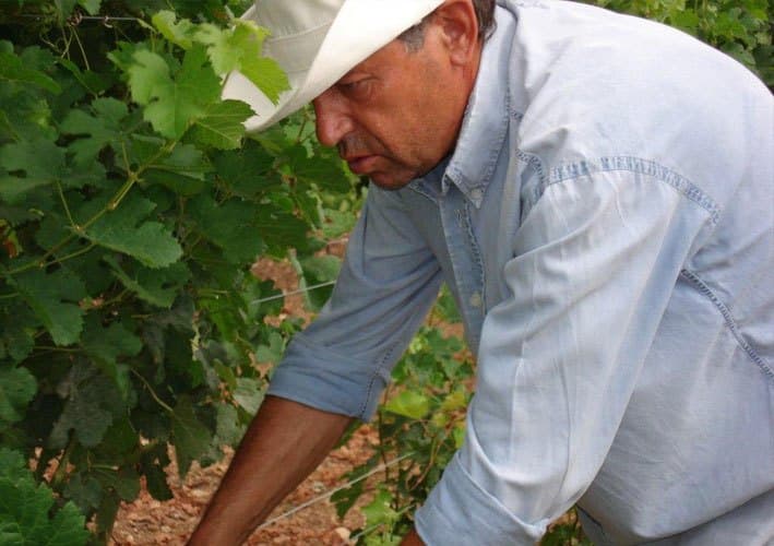 Winemaking Philosophy