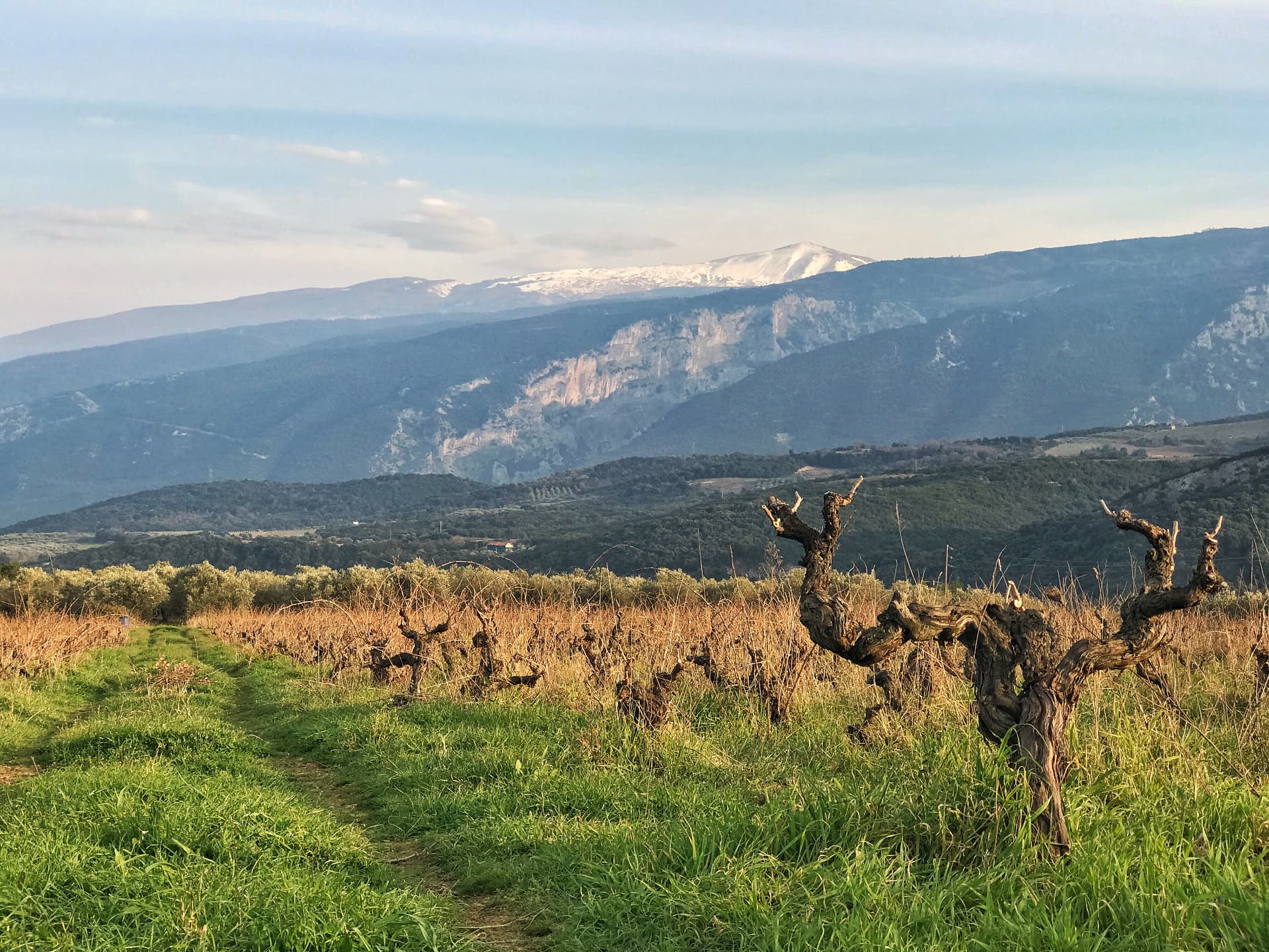 Terroir