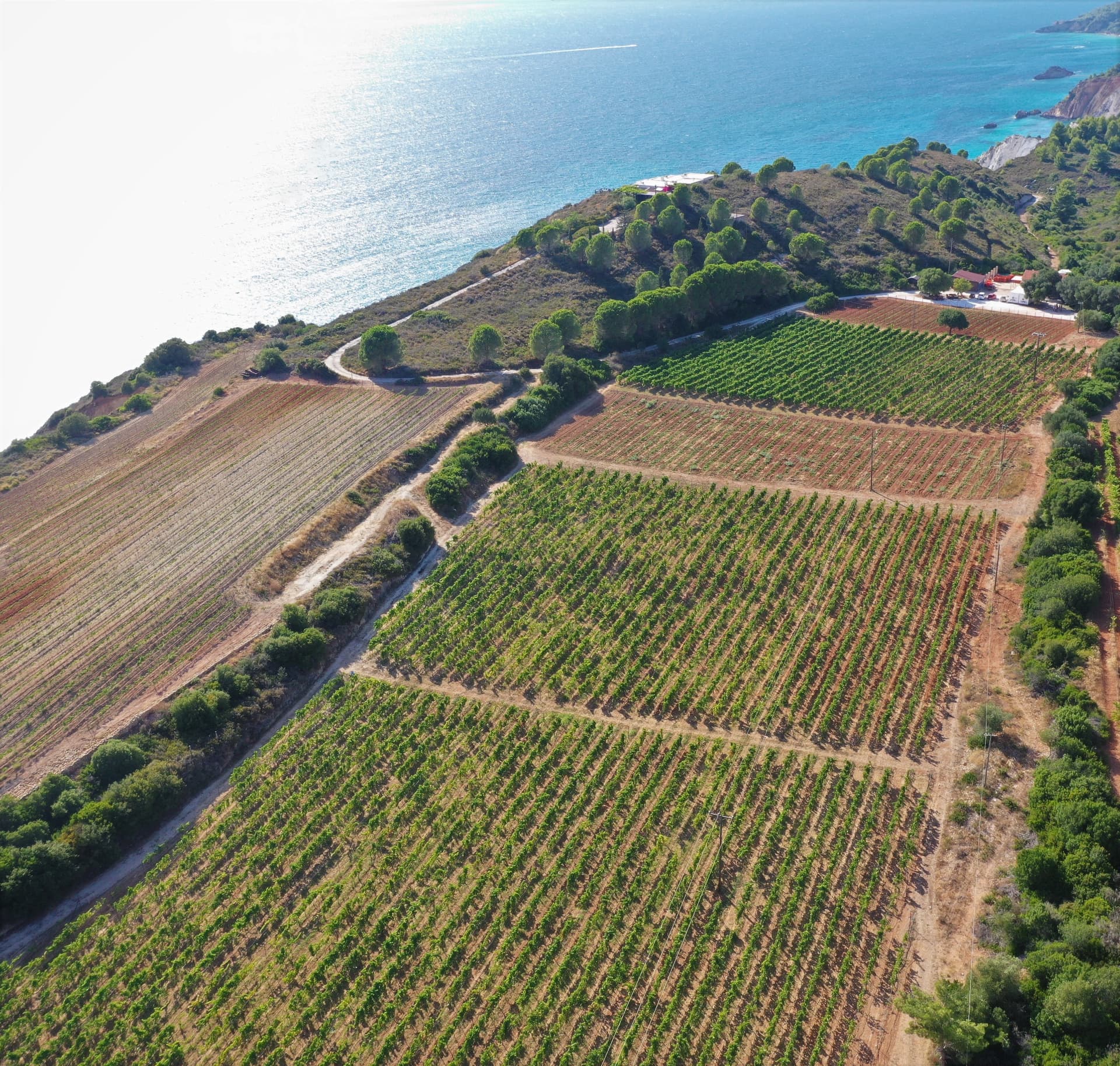 Terroir