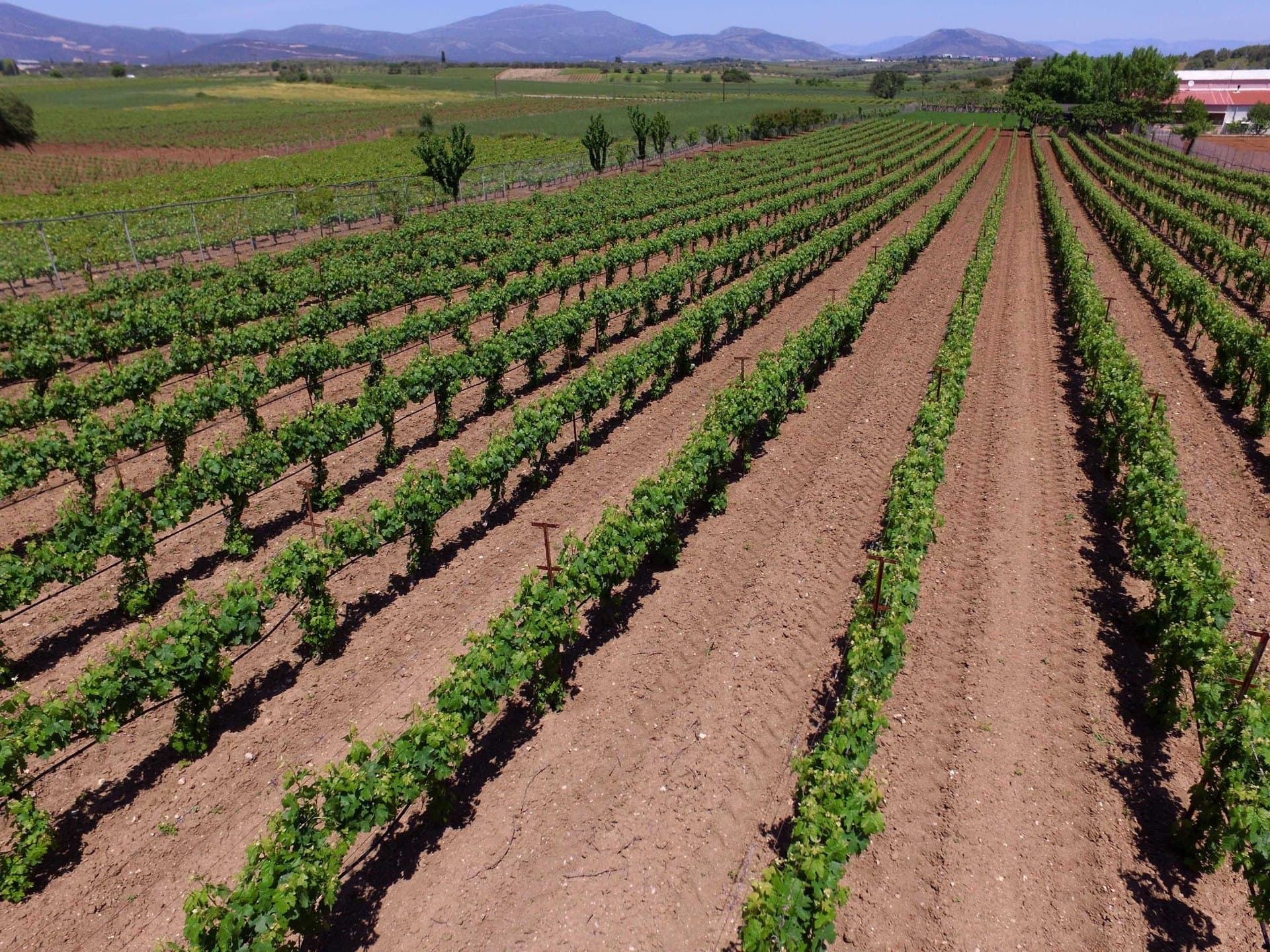 Armathos Winery