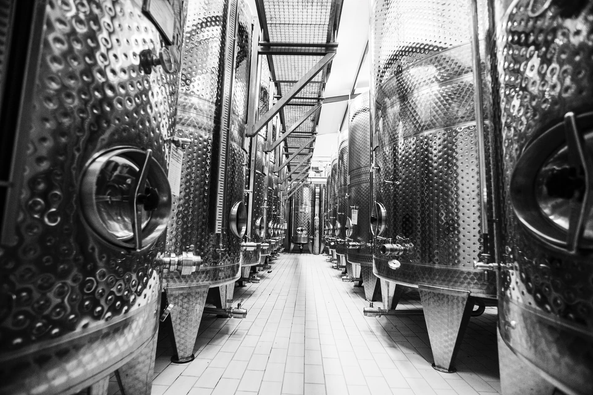 Winemaking Philosophy