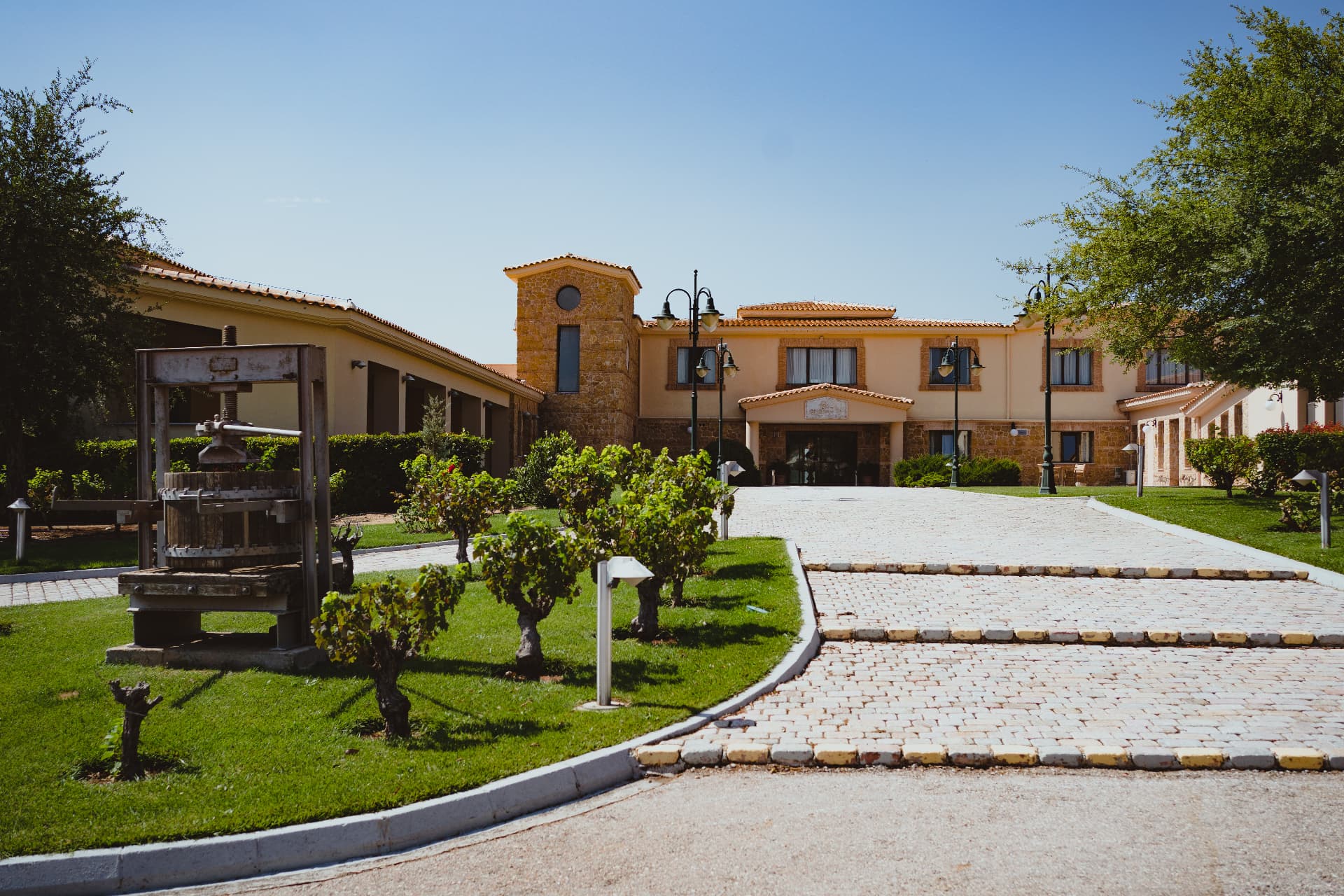 Wine Museum Costa Lazaridi guided tour & Wine tasting