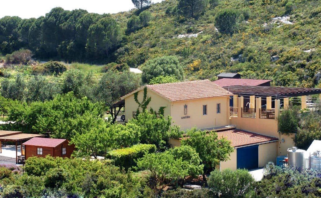 Gentilini Winery & Vineyards