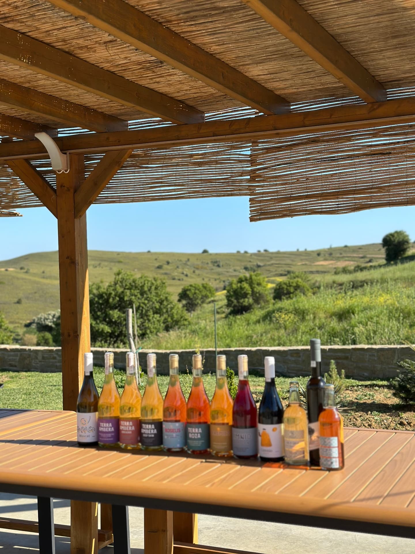 Singature Wine Tasting