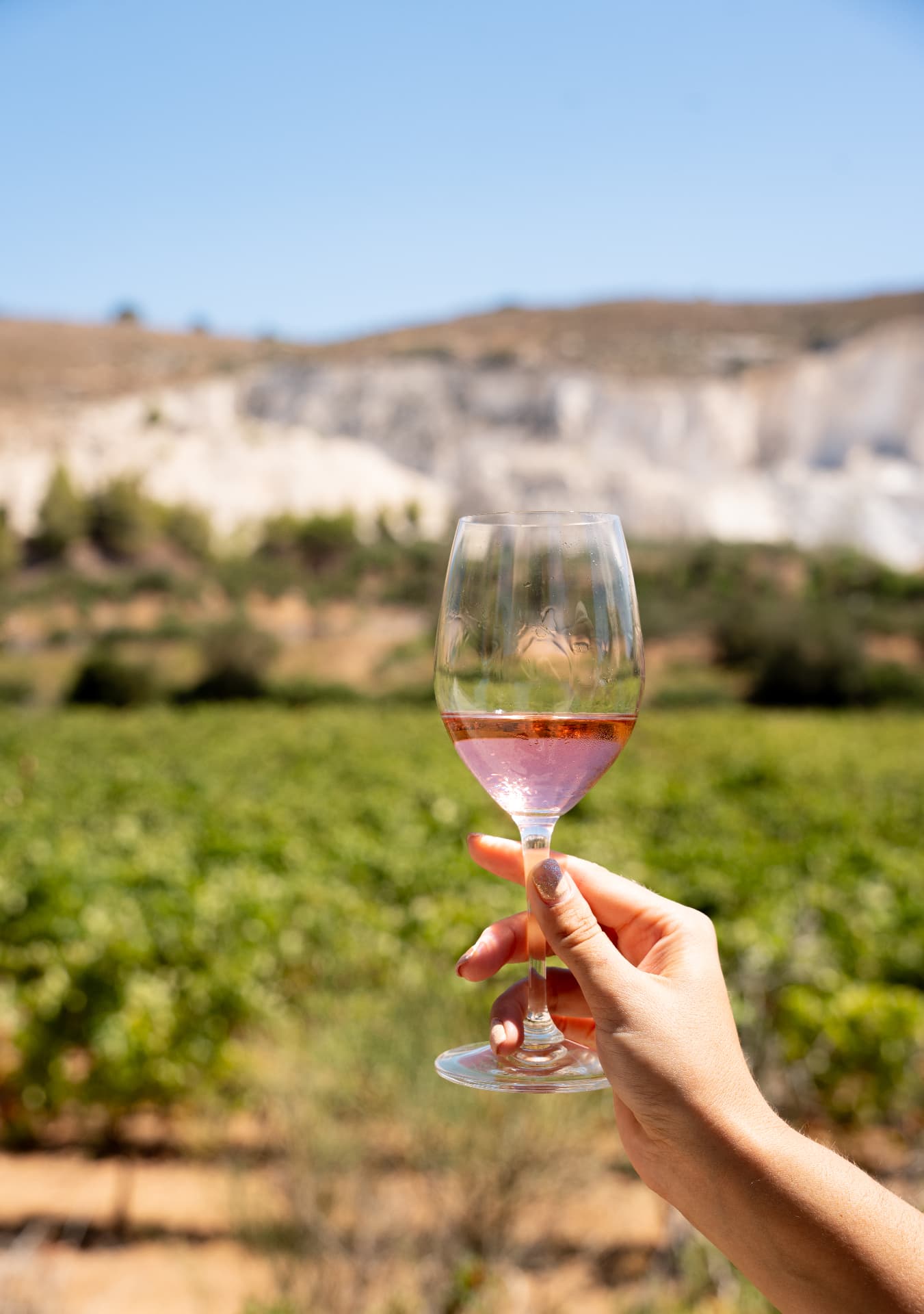 Winemaking Philosophy